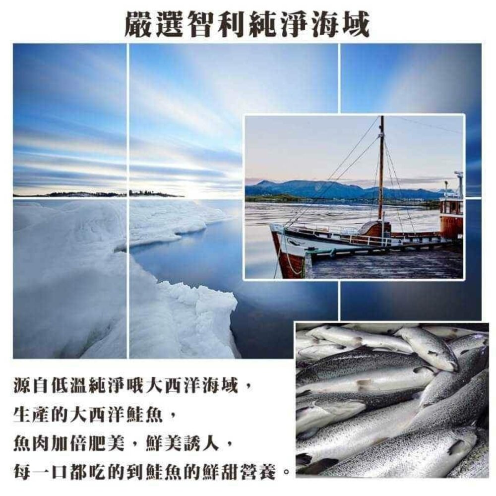 嚴選智利鮭魚切片(每片100g±10%)【海陸管家】滿額免運 智利鮭魚 鮭魚 鮭魚片 智利鮭魚片-圖片-1