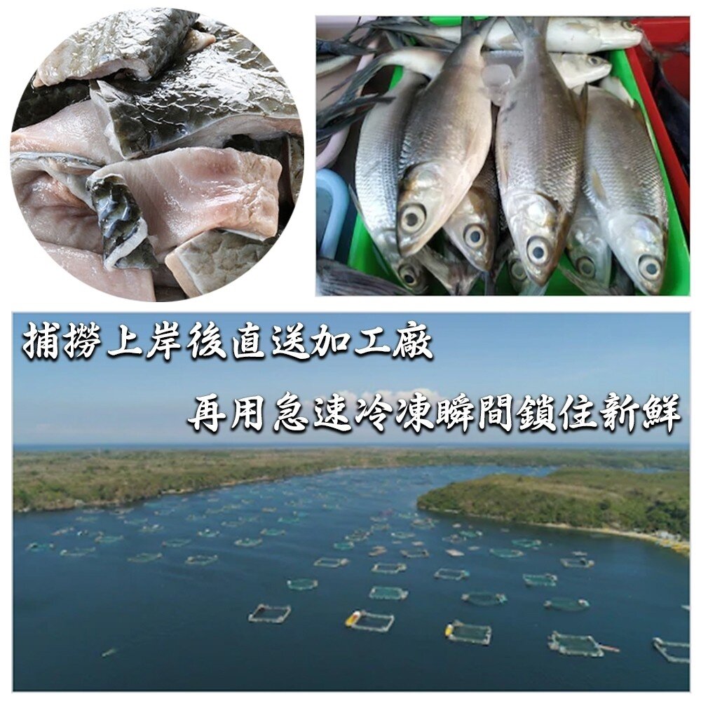 台南無刺滑嫩虱目魚皮(每包300g±10%)【天天鮮配】滿額免運 虱目魚皮 無刺魚皮 煮湯香煎 冷凍海鮮-圖片-2