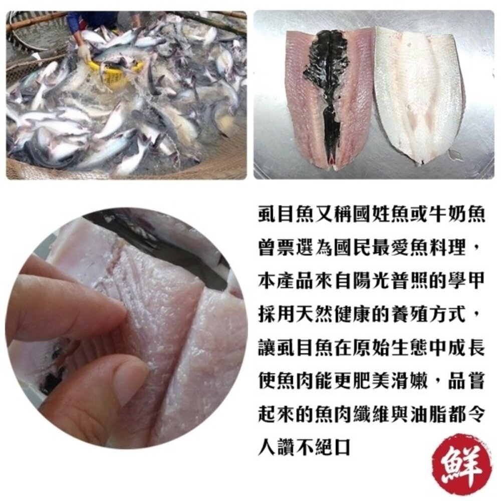 台南老饕XL超大片去刺虱目魚肚(每片220g±10%)【海陸管家】滿額免運-圖片-6