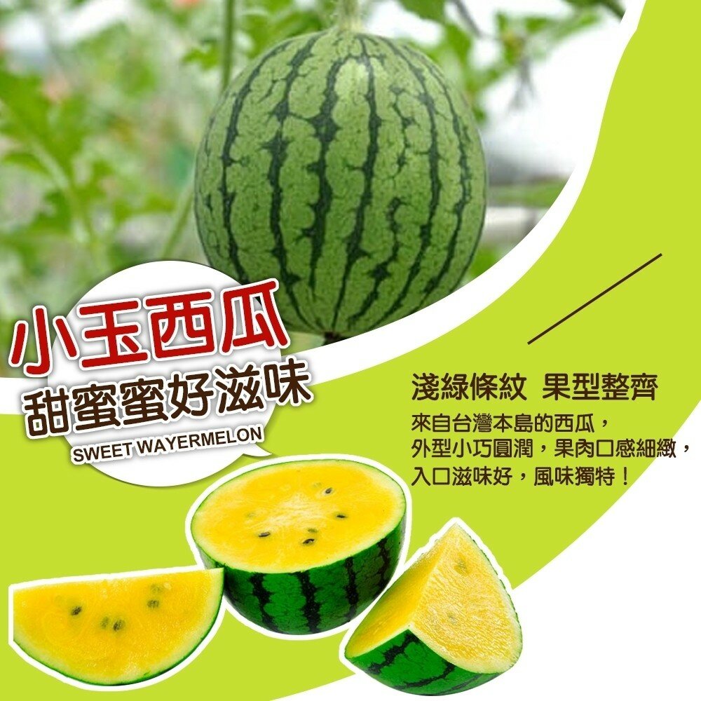 台灣嚴選黃肉小玉西瓜(每顆2.5-3kg) 0運費【果之蔬】黃肉西瓜 小玉黃西瓜 黃小玉西瓜 黃果肉 黃色西瓜-圖片-4