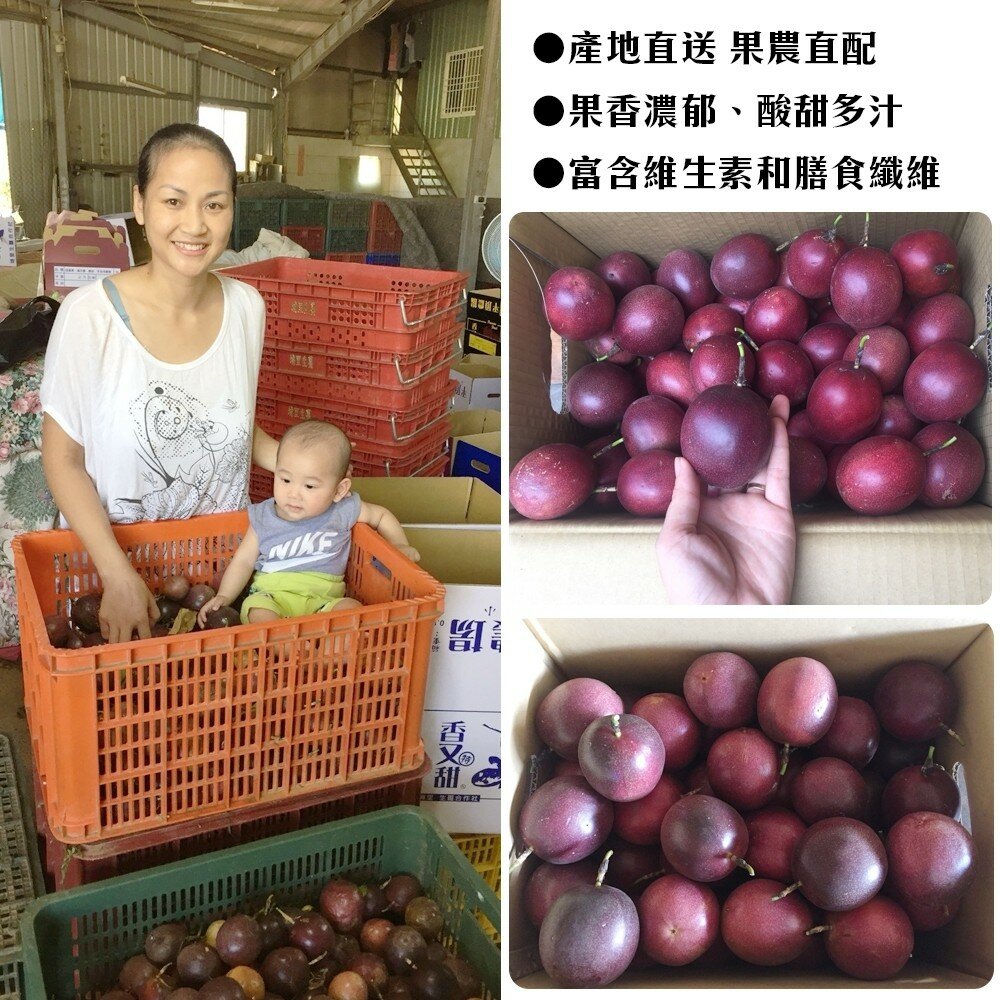 埔里吊網香甜百香果 0運費【果農直配】-圖片-5