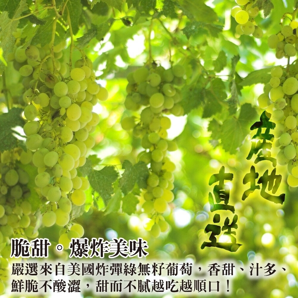 美國炸彈綠無籽葡萄(每袋900-1000g) 0運費【果之蔬】無籽綠葡萄 超脆葡萄 綠葡萄 脆口葡萄-圖片-2