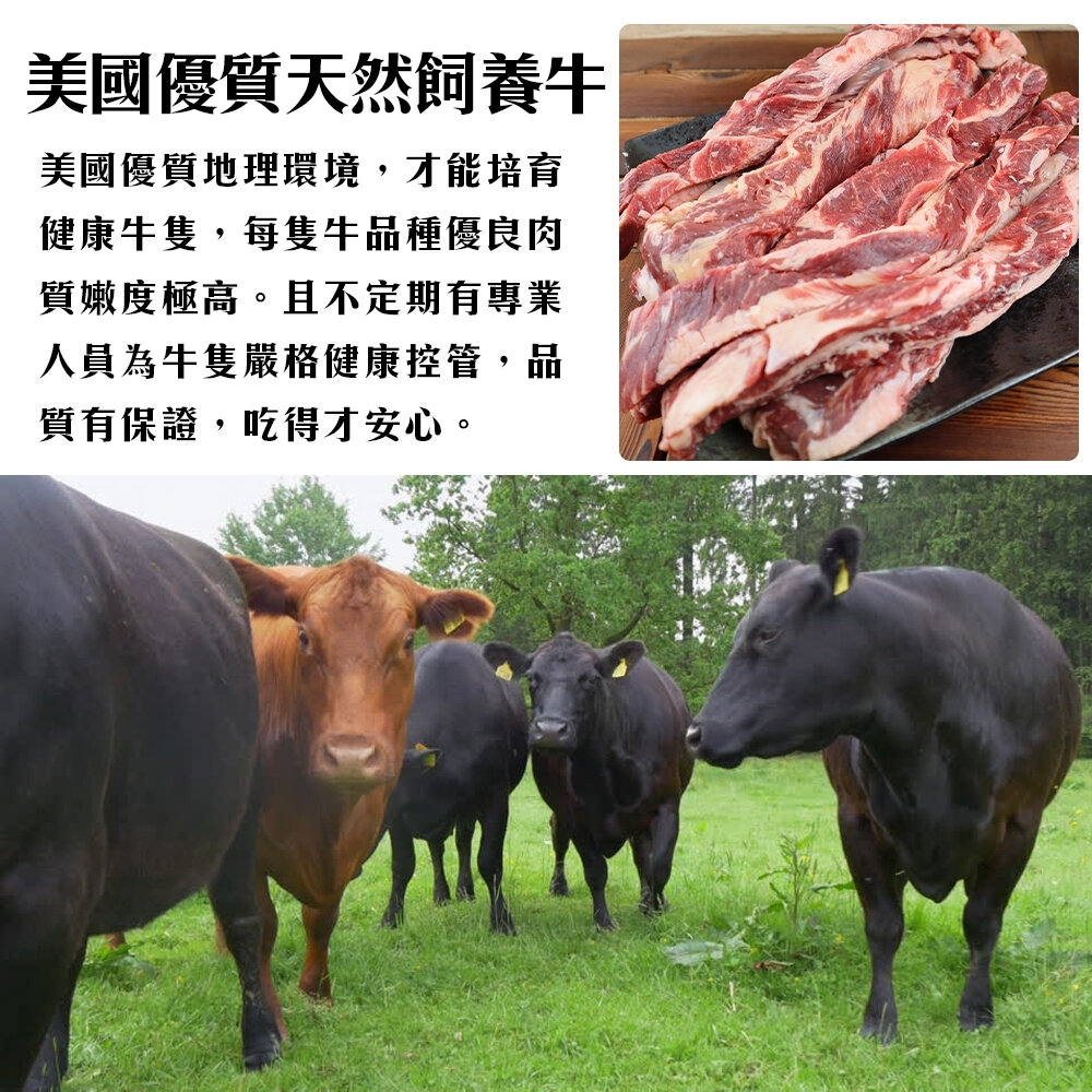 嚴選美國全牛套組8件組 贈日本烤肉醬 0運費【海陸管家】BBQ 燒烤 烤肉組 牛排 牛肉片-圖片-2