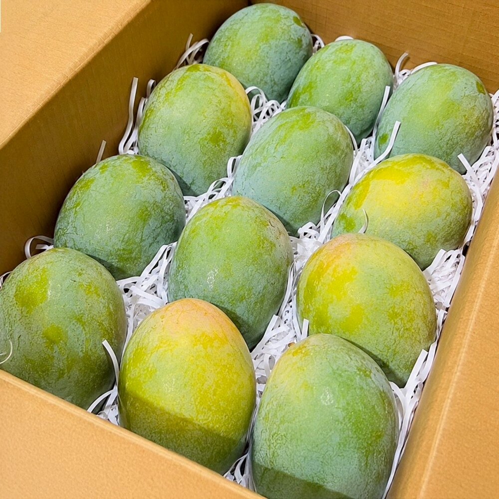 台南楠西金香芒果10斤±10%/12-15入 0運費【果農直配】金香芒果-圖片-1