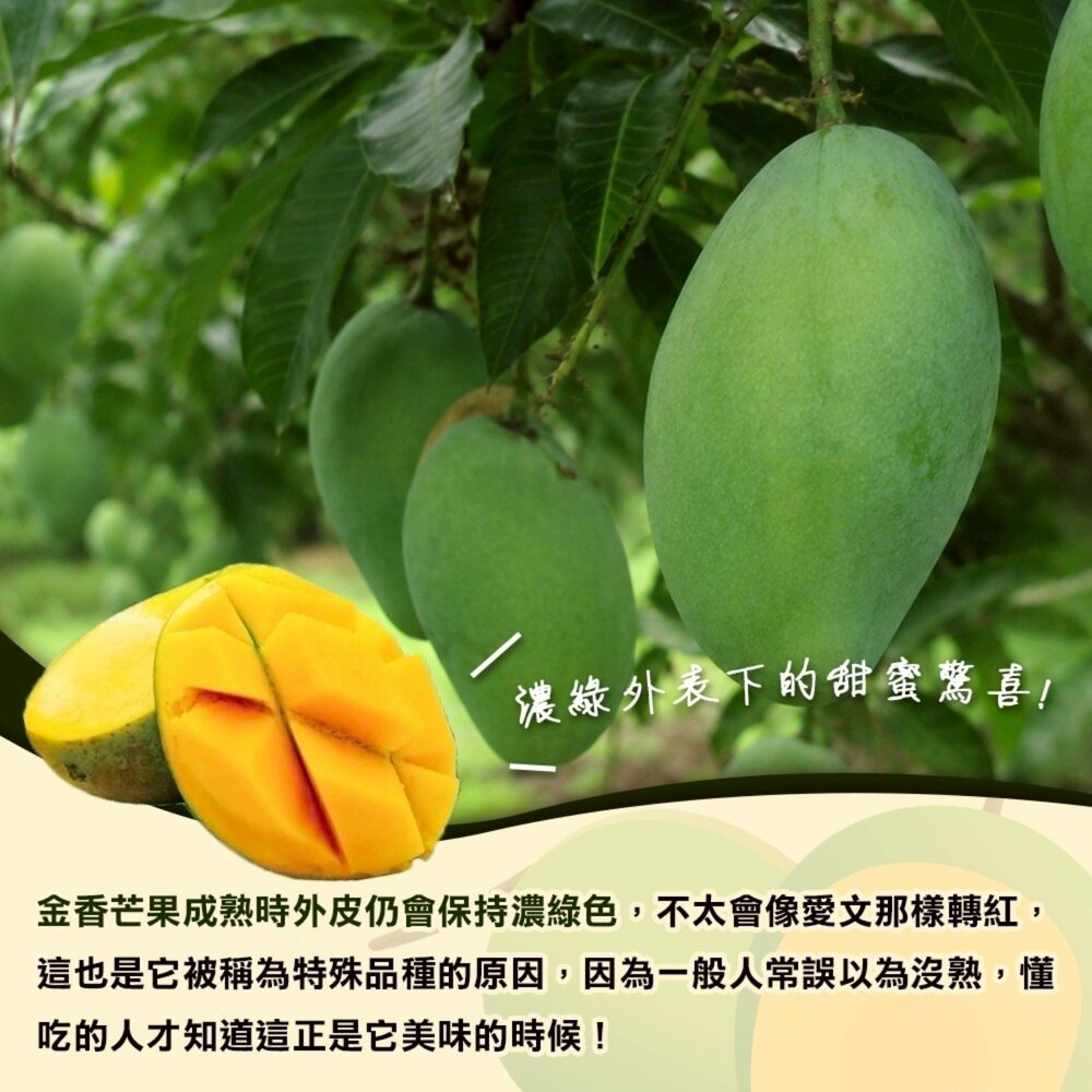 台南楠西金香芒果10斤±10%/12-15入 0運費【果農直配】金香芒果-圖片-2