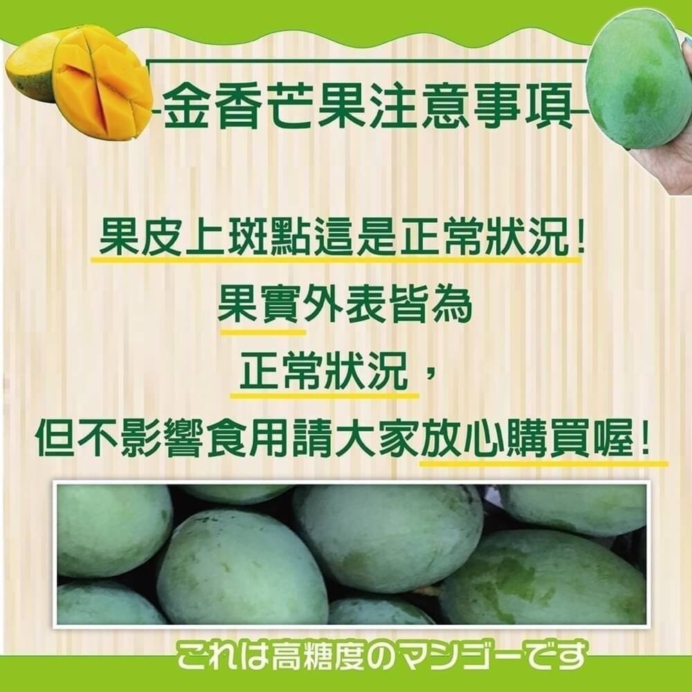 台南楠西金香芒果10斤±10%/12-15入 0運費【果農直配】金香芒果-圖片-5
