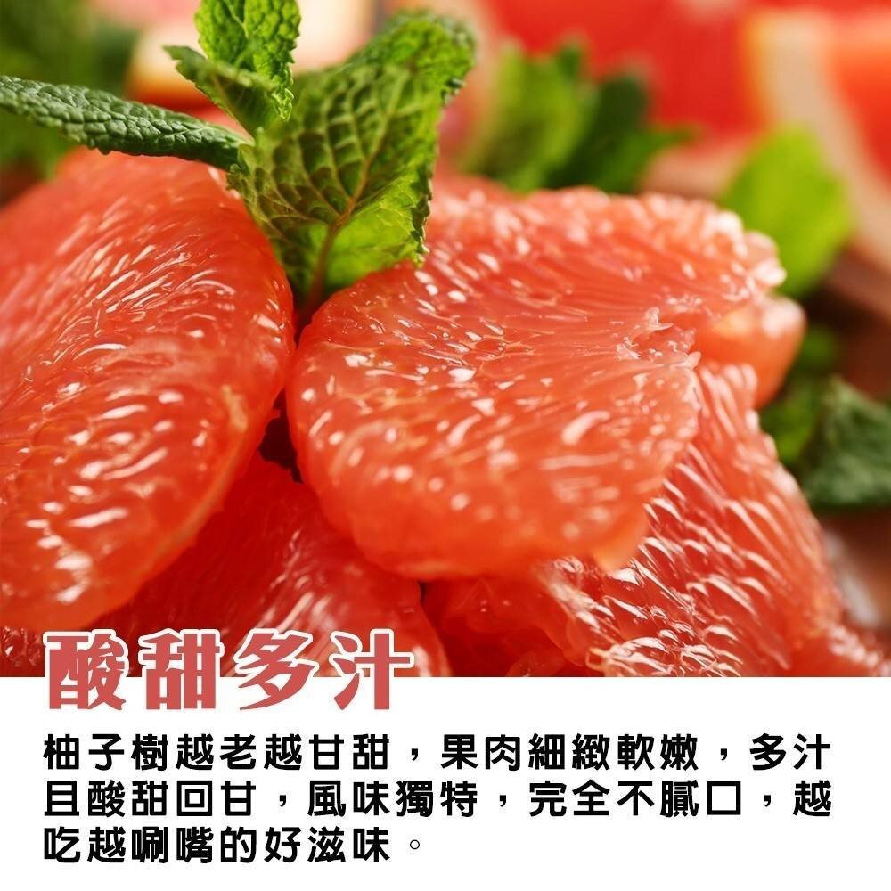 產銷履歷雙認證麻豆紅文旦禮盒(每箱10斤±10%含箱) 0運費【果農直配】紅文旦 紅肉文旦 中秋 柚子 紅肉柚子 紅柚-圖片-5