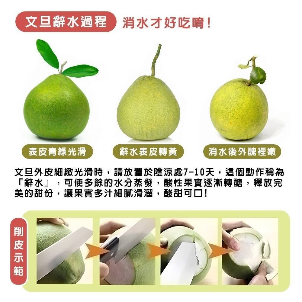 產銷履歷雙認證麻豆紅文旦禮盒(每箱10斤±10%含箱) 0運費【果農直配】紅文旦 紅肉文旦 中秋 柚子 紅肉柚子 紅柚-圖片-7