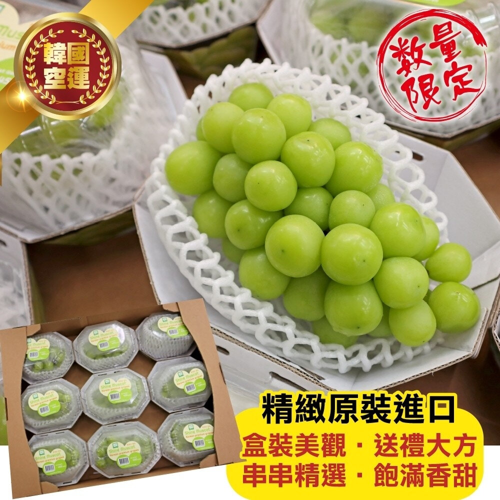 韓國空運無籽麝香葡萄(每盒500g-600g) 0運費【果之蔬】韓國葡萄 無籽葡萄 綠葡萄 進口葡萄 空運葡萄-圖片-4