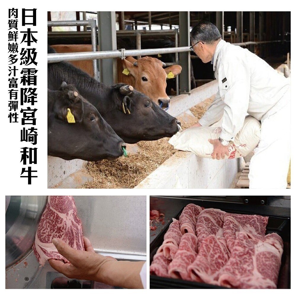 日本宮崎和牛霜降肉片(每盒約100g±10%) 贈岩鹽【天天鮮配】滿額免運-圖片-3