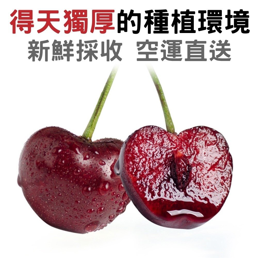 Reid/Hansen 澳洲Tasmanian塔斯馬尼亞櫻桃600g分裝禮盒 0運費【果之蔬】澳洲櫻桃 櫻桃禮盒 年節禮-圖片-3