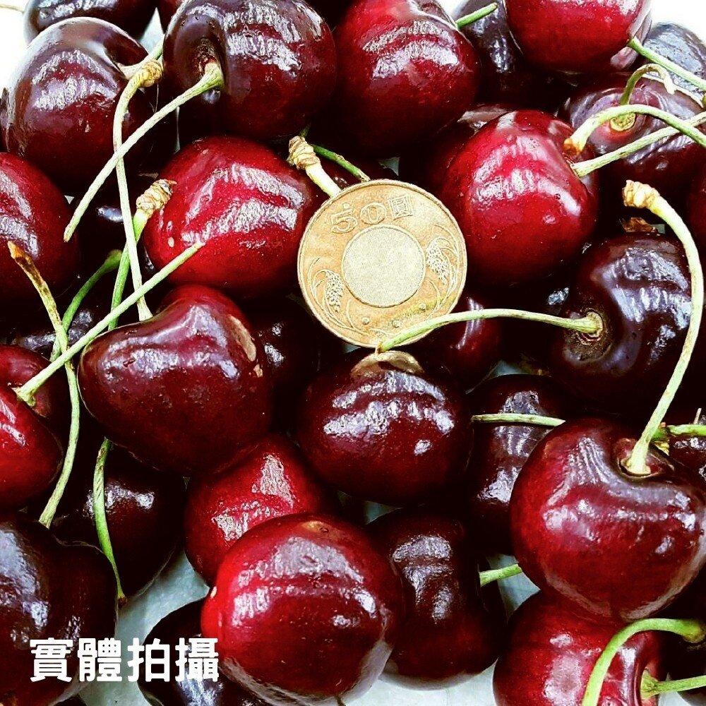 Reid/Hansen 澳洲Tasmanian塔斯馬尼亞櫻桃600g分裝禮盒 0運費【果之蔬】澳洲櫻桃 櫻桃禮盒 年節禮-圖片-6