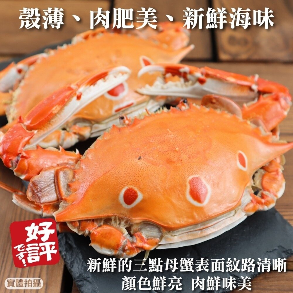 活凍野生三點母蟹(每隻約150g-170g)【天天鮮配】滿額免運 三點蟹 母蟹 生蟹 螃蟹-圖片-1