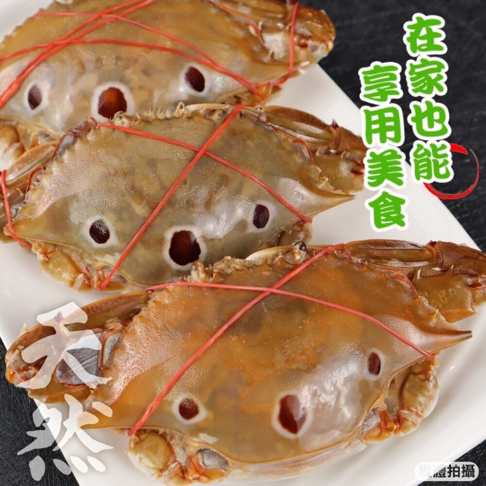 活凍野生三點母蟹(每隻約150g-170g)【天天鮮配】滿額免運 三點蟹 母蟹 生蟹 螃蟹-圖片-3