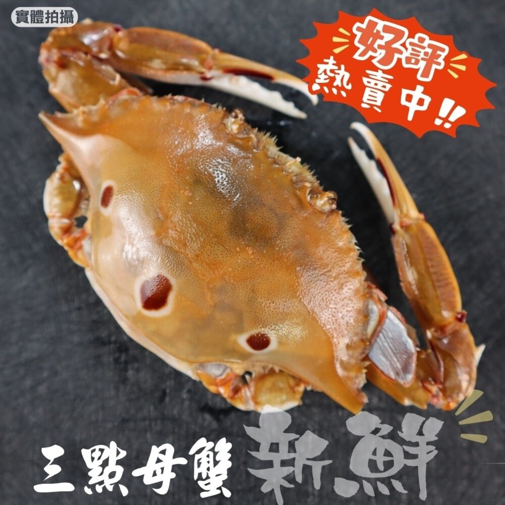 活凍野生三點母蟹(每隻約150g-170g)【天天鮮配】滿額免運 三點蟹 母蟹 生蟹 螃蟹-圖片-4