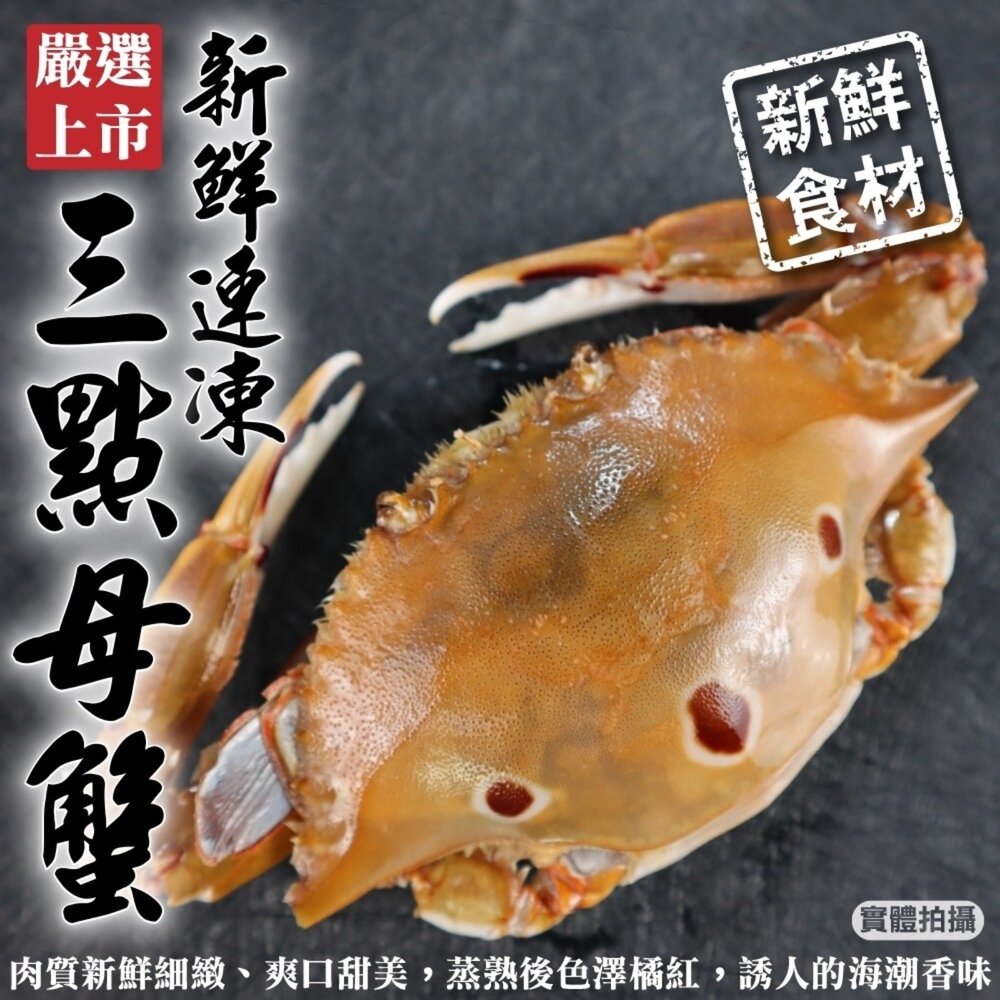 251114150957-活凍野生三點母蟹(每隻約150g-170g)【天天鮮配】滿額免運 三點蟹 母蟹 生蟹 螃蟹