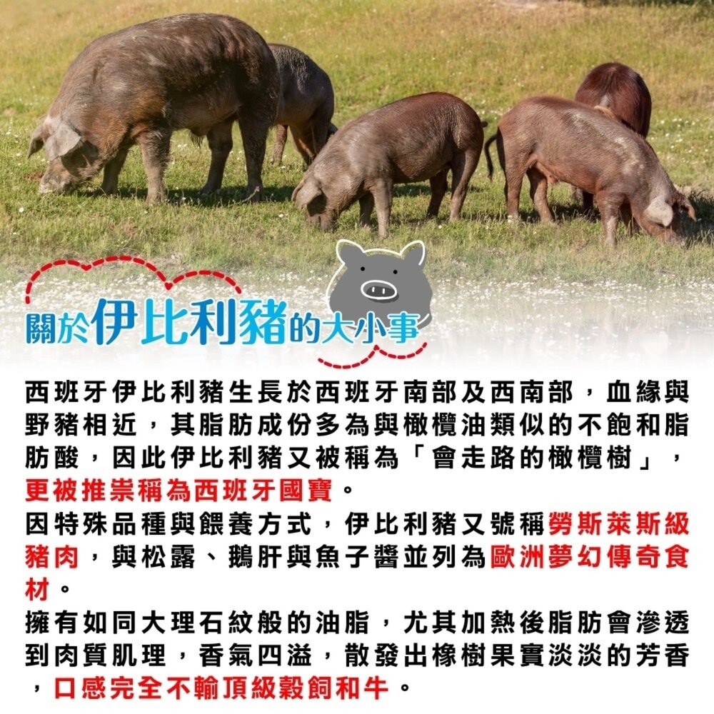 西班牙伊比利梅花豬肉片(每盒200g±10%)【海陸管家】滿額免運-圖片-1