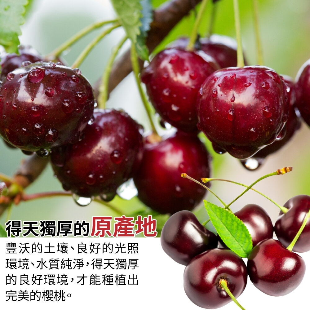 紐西蘭空運亞尼士櫻桃26-28mm原裝500g±10% 0運費【果之蔬】進口櫻桃 紐西蘭櫻桃 櫻桃禮盒 年節禮盒 水果禮-圖片-2