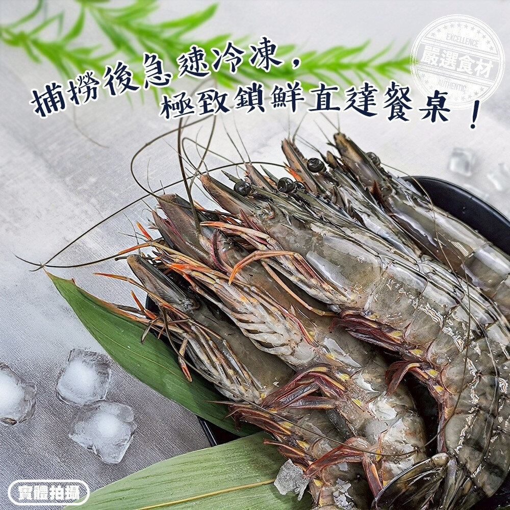 巨無霸野生海草蝦(每盒6-7尾/淨重500g)【海陸管家】滿額免運 草蝦 虎蝦 大草蝦-圖片-2