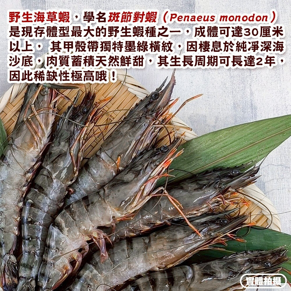 巨無霸野生海草蝦(每盒6-7尾/淨重500g)【海陸管家】滿額免運 草蝦 虎蝦 大草蝦-圖片-3