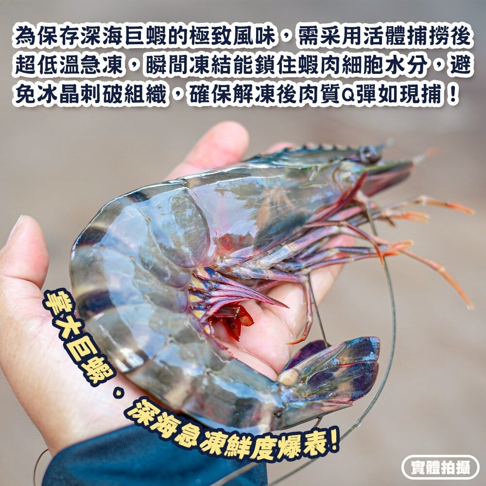 巨無霸野生海草蝦(每盒6-7尾/淨重500g)【海陸管家】滿額免運 草蝦 虎蝦 大草蝦-圖片-4