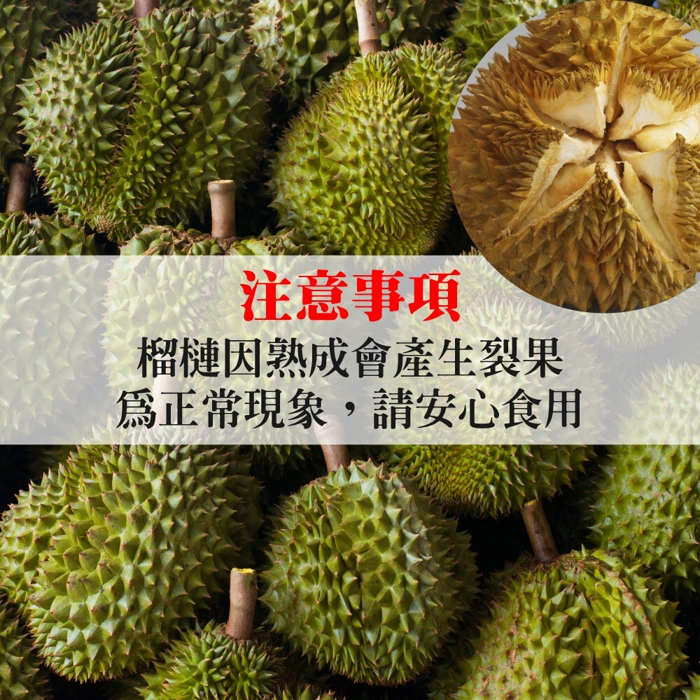 越南金枕頭榴槤原箱11kg±10%含箱/3-4入 0運費【天天鮮配】進口榴槤 越南榴槤-圖片-6