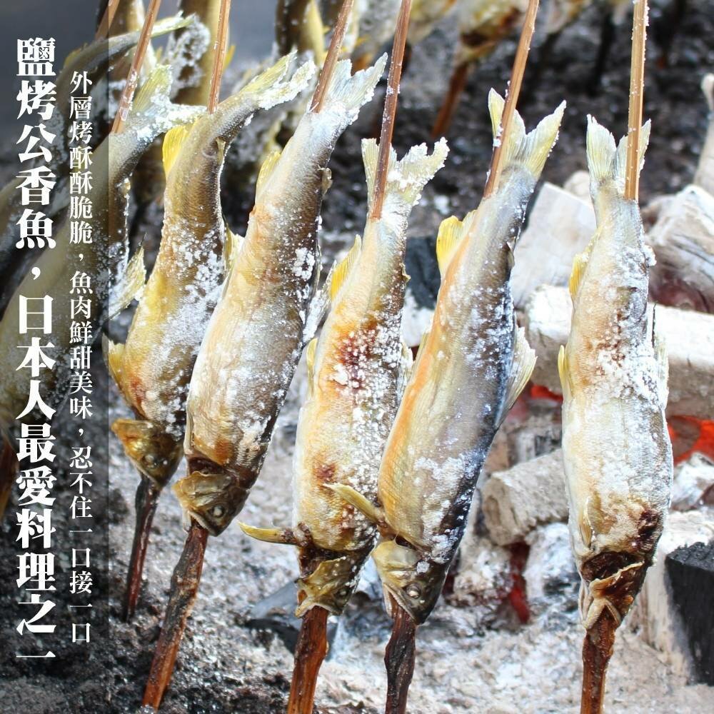 特選宜蘭鮮凍大尾香魚(每盒8尾/920g±10%含冰重)【海陸管家】滿額免運 香魚 公香魚 台灣香魚 鮮魚 下酒菜-圖片-3