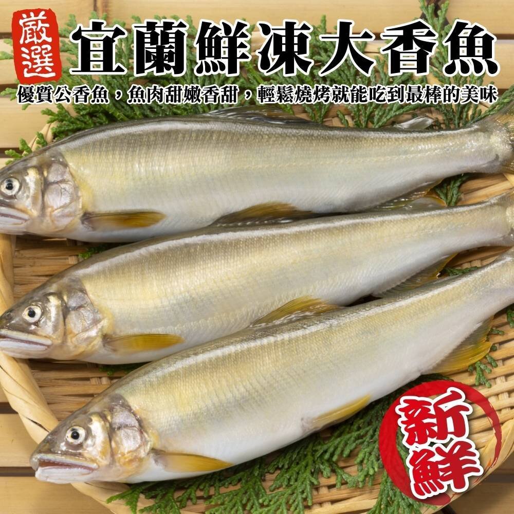 25871516511-特選宜蘭鮮凍大尾香魚(每盒8尾/920g±10%含冰重)【天天鮮配】滿額免運 香魚 公香魚 台灣香魚 鮮魚 下酒菜