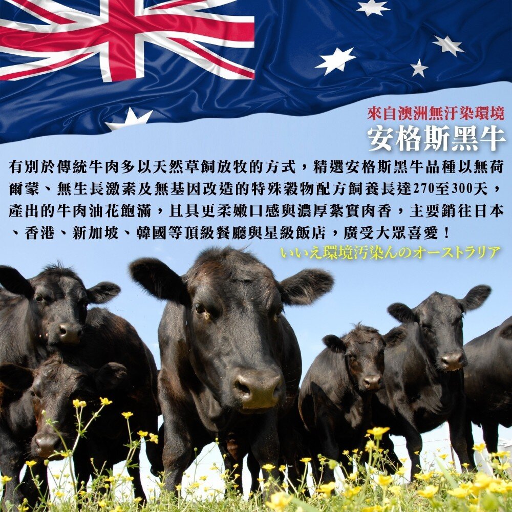 澳洲安格斯濕式熟成肋眼牛排(每片200g±10%)【天天鮮配】滿額免運-圖片-6