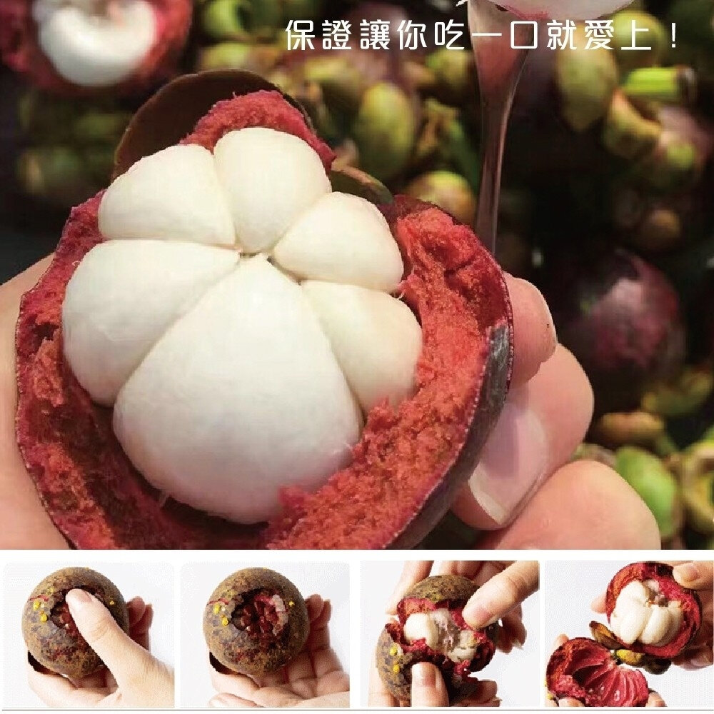 (非冷凍)泰國新鮮空運山竹(每袋4-8入/500g±10%) 0運費【果之蔬】-圖片-3