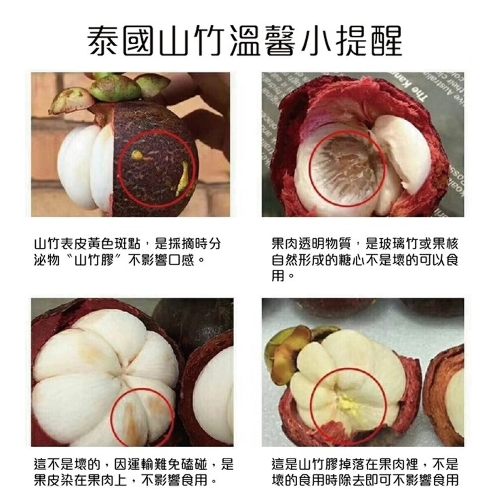 (非冷凍)泰國新鮮空運山竹(每袋4-8入/500g±10%) 0運費【果之蔬】-圖片-4