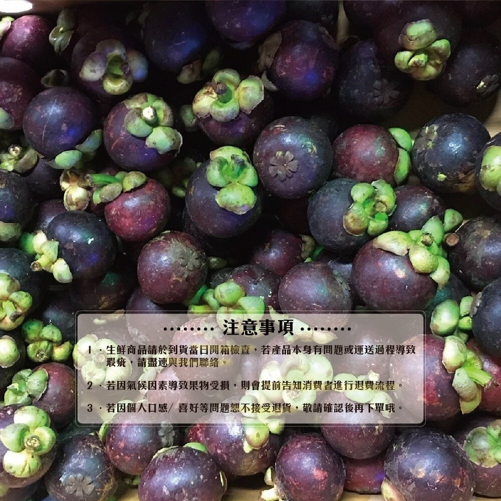 (非冷凍)泰國新鮮空運山竹(每袋4-8入/500g±10%) 0運費【果之蔬】-圖片-5