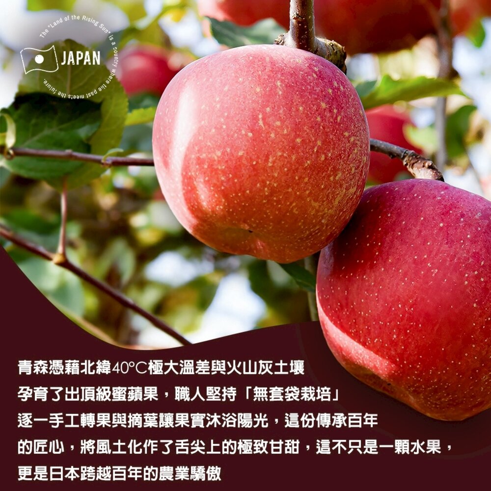日本青森紅蜜蘋果(每顆150g±10%) 0運費【果之蔬】日本蘋果 蜜蘋果 紅蘋果 青森蘋果 蘋果禮盒 年節禮盒-圖片-2
