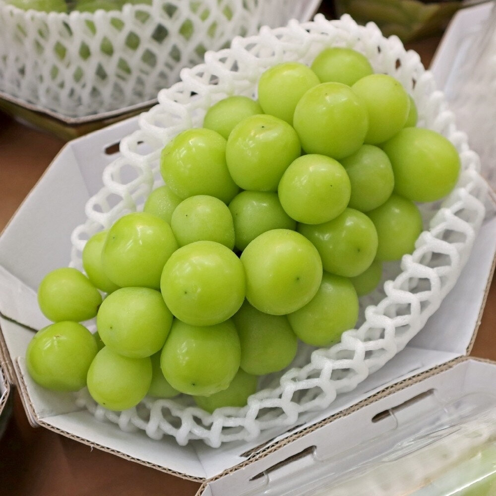 韓國空運無籽麝香葡萄(每盒450g±10%) 0運費【果之蔬】韓國葡萄 無籽葡萄 綠葡萄 進口葡萄 空運葡萄-圖片-1