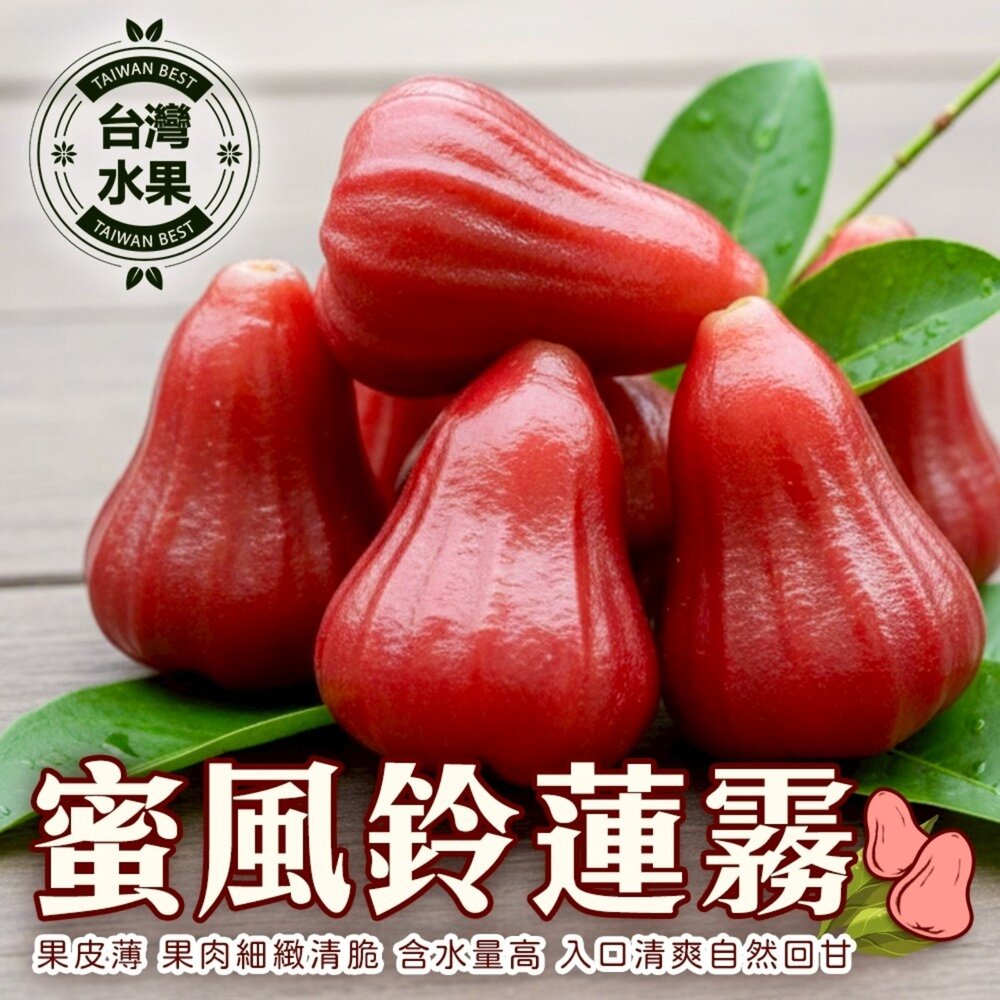 260223181233-台灣蜜風鈴蓮霧 3斤±10%含盒/10-18入 0運費【果之蔬】