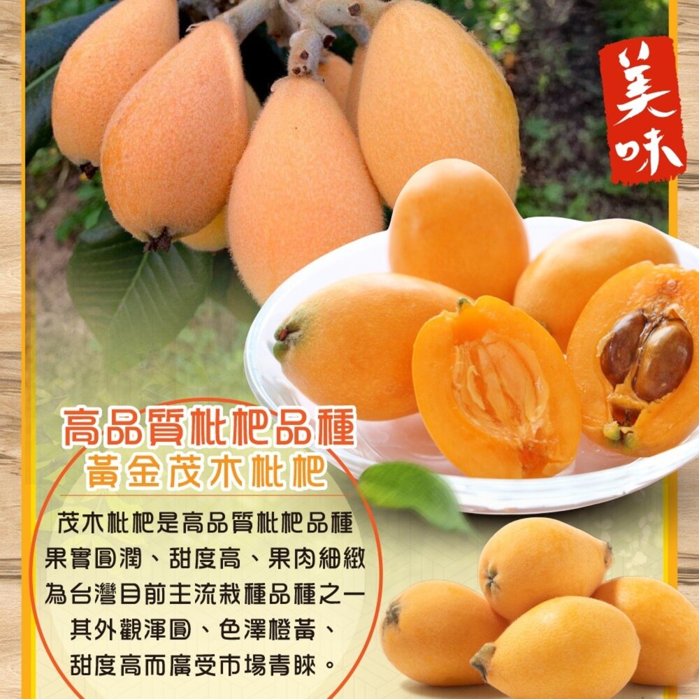台灣黃金茂木枇杷(每盒400g±10%含盒) 0運費【果農直配】台灣枇杷 台灣水果-圖片-1