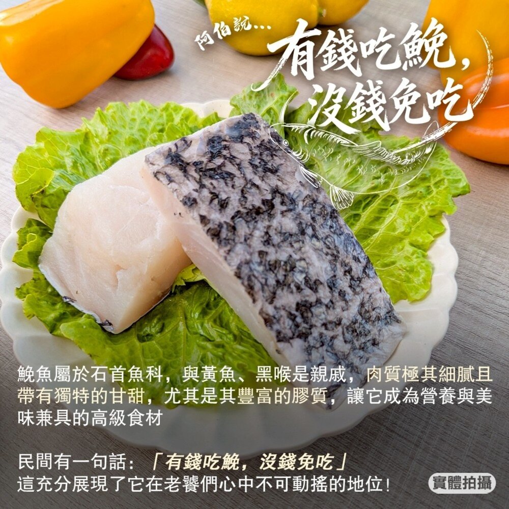 鮮凍鮸魚排大片(每片250-300g)【海陸管家】滿額免運 免魚 白肉魚 米魚 鮸仔魚 鰵魚-圖片-2