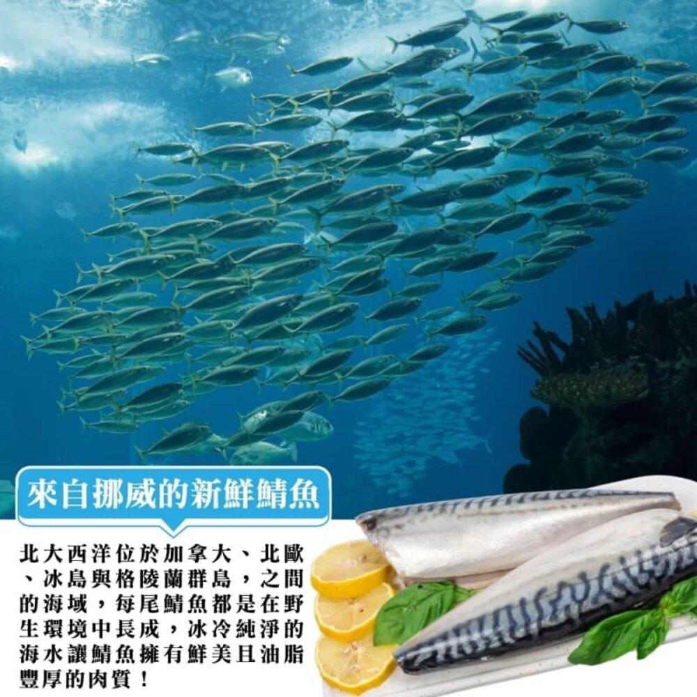 嚴選極厚4L挪威薄鹽鯖魚片(每片毛重240-260g)【海陸管家】滿額免運-圖片-2