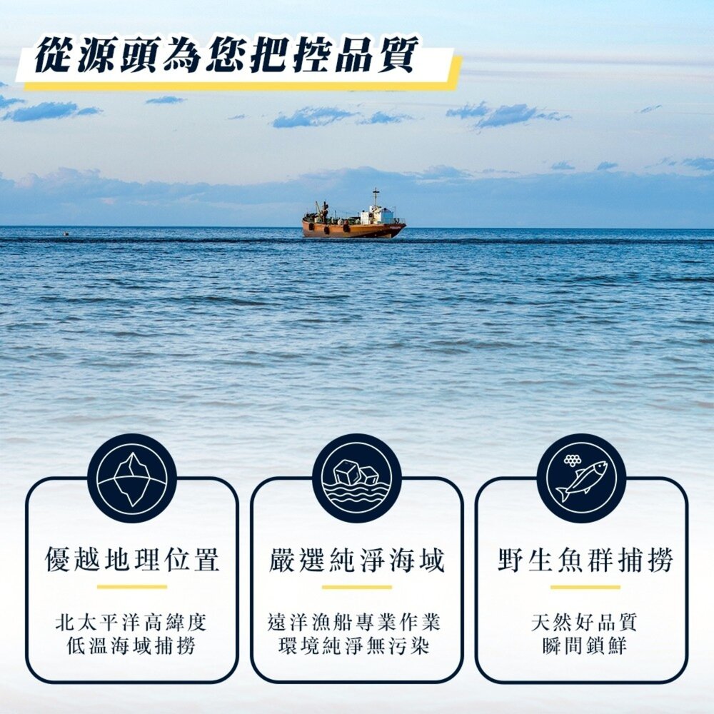 台灣野生秋刀魚(每包3尾/440g±10%)【天天鮮配】滿額免運-圖片-2