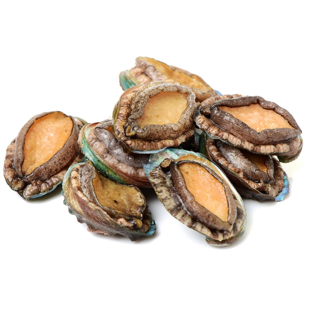 鮮凍半殼九孔鮑魚(1kg±10%/30粒)【天天鮮配】滿額免運-圖片-1
