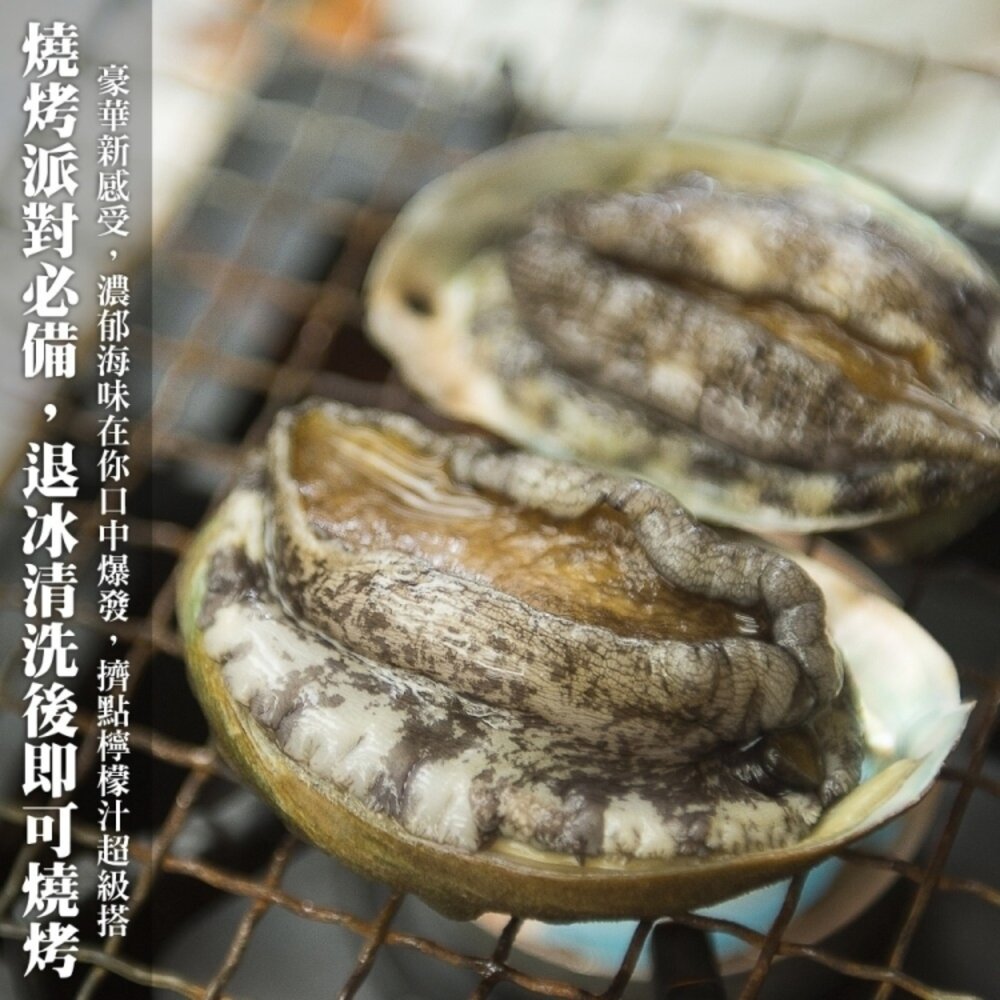 鮮凍半殼九孔鮑魚(1kg±10%/30粒)【天天鮮配】滿額免運-圖片-3