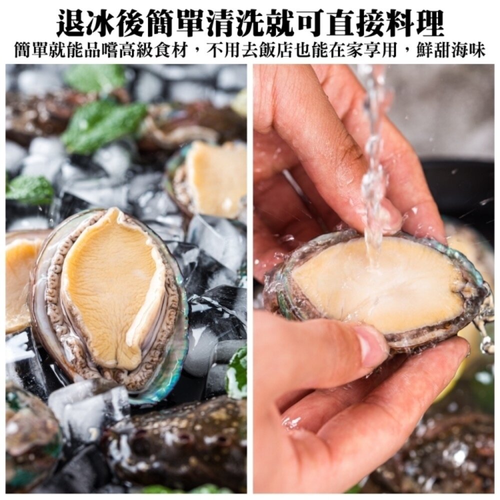 鮮凍半殼九孔鮑魚(1kg±10%/30粒)【天天鮮配】滿額免運-圖片-6