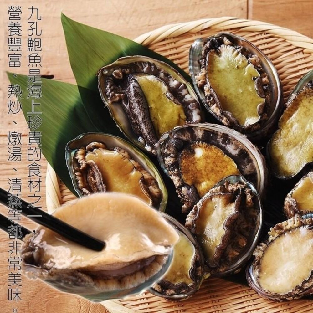 鮮凍半殼九孔鮑魚(1kg±10%/30粒)【天天鮮配】滿額免運-圖片-7