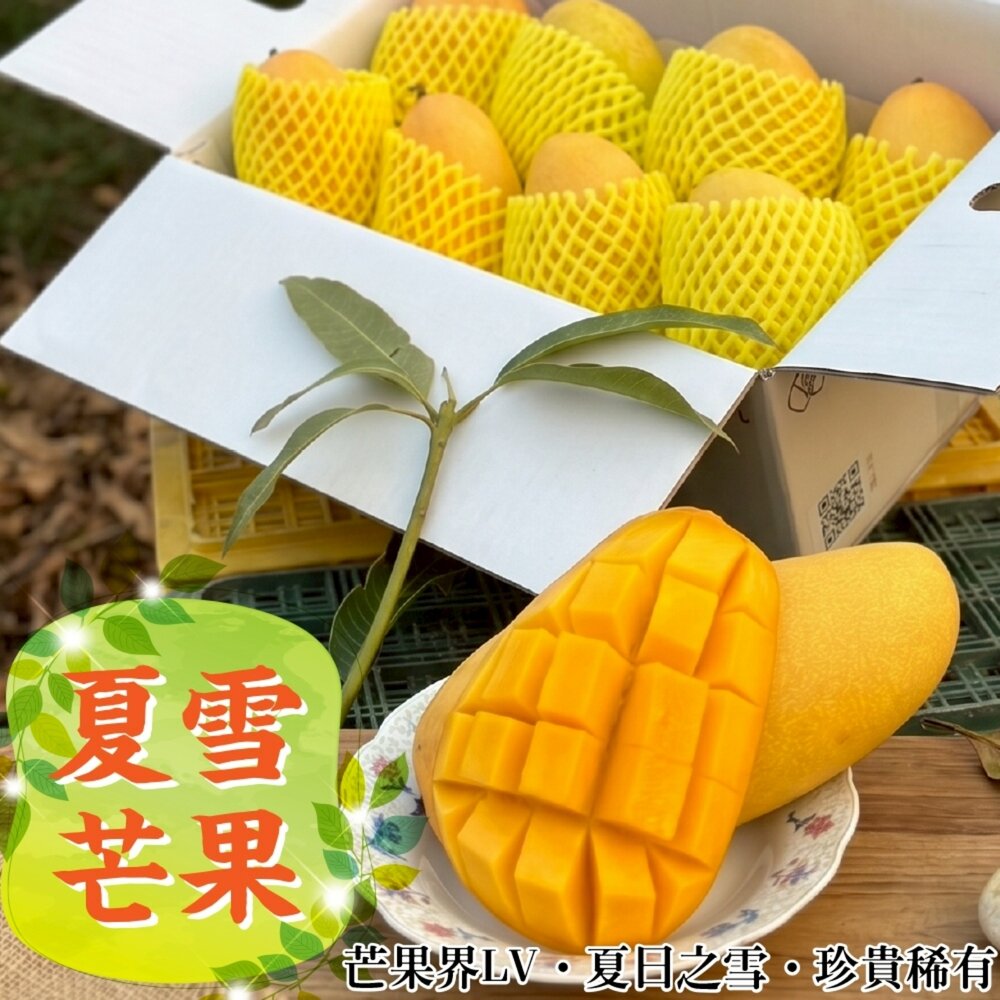 260519161629-外銷等級台灣夏雪芒果10斤±10%含箱 0運費【果農直配】
