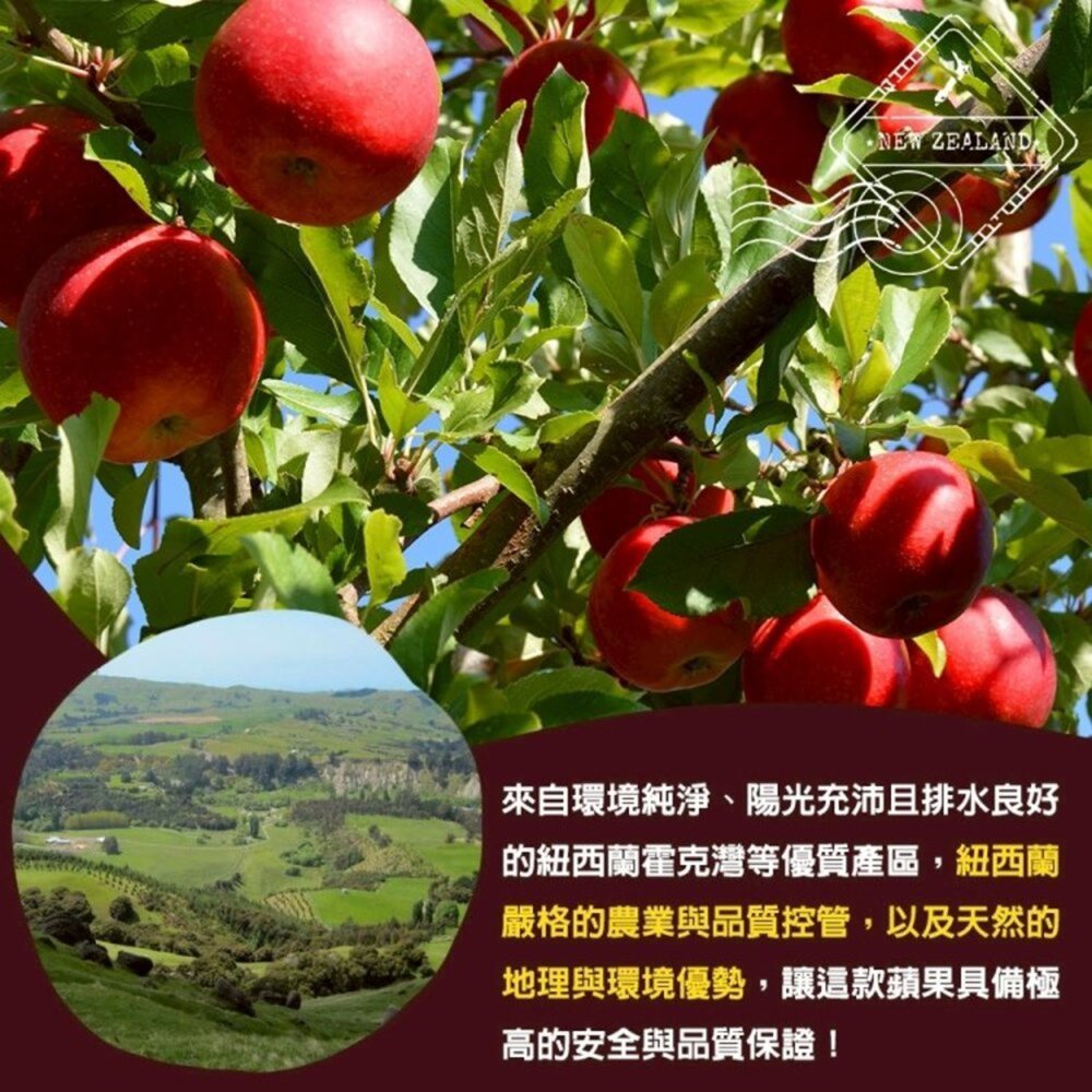 紐西蘭Diva蘋果 原箱18kg±10%含箱 0運費【果之蔬】紐西蘭蘋果 進口蘋果 Diva蘋果 無蠟蘋果-圖片-3