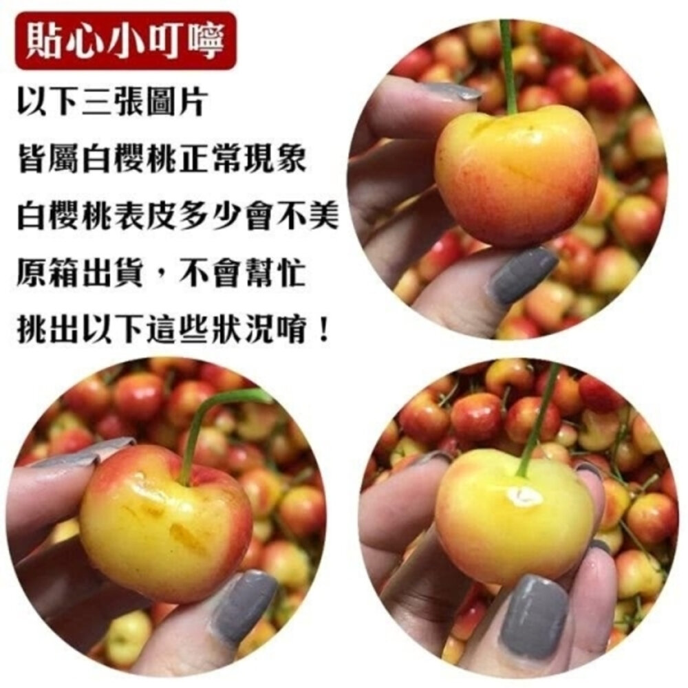 美國草莓白櫻桃禮盒 0運費【果之蔬】美國櫻桃 進口櫻桃 白櫻桃 櫻桃禮盒 白櫻桃禮盒 水果禮盒 9R 9.5R-圖片-7
