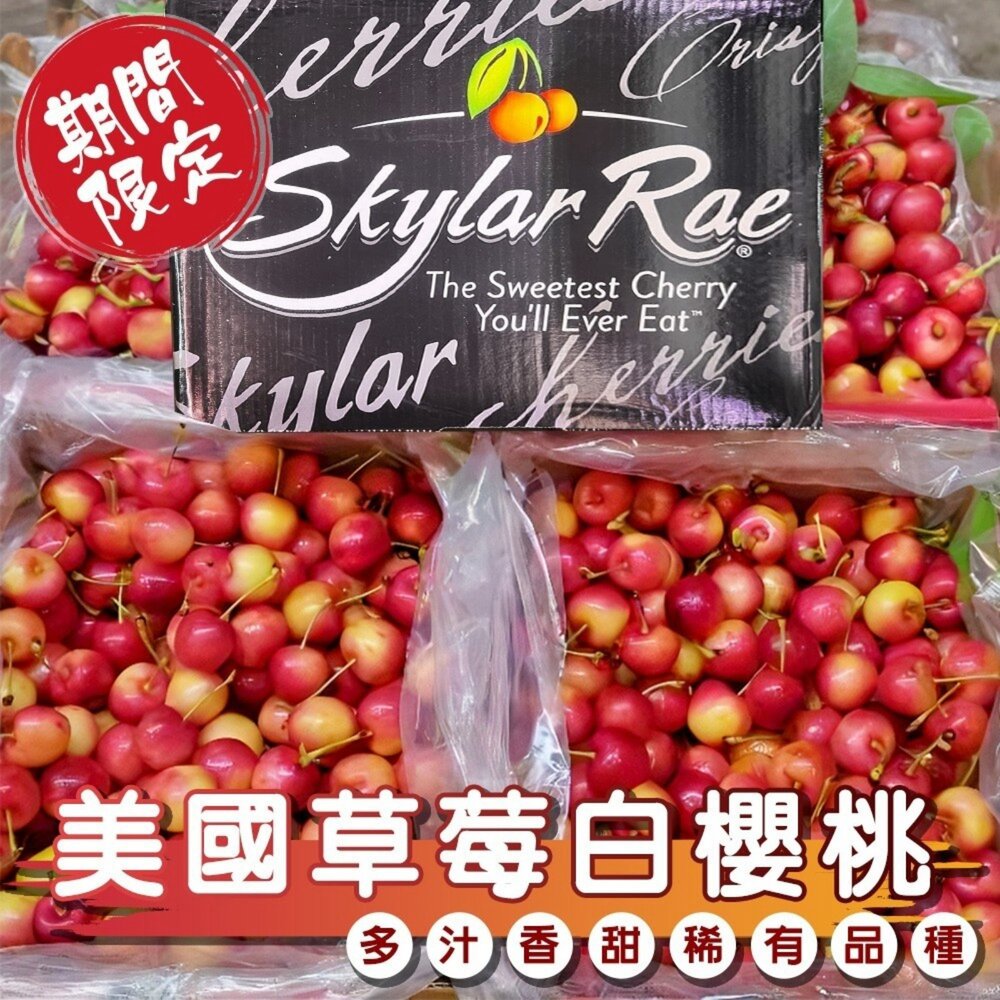 260616162814-美國草莓白櫻桃禮盒 0運費【果之蔬】美國櫻桃 進口櫻桃 白櫻桃 櫻桃禮盒 白櫻桃禮盒 水果禮盒 9R 9.5R