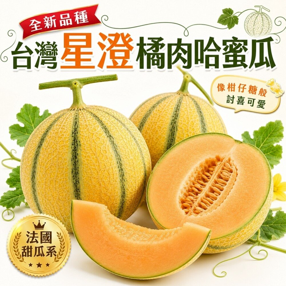 260622191224-台灣星澄橘肉哈密瓜(法國甜瓜) 5斤±10%/2入組 0運費【果之蔬】哈密瓜 哈蜜瓜 紅哈密瓜 紅哈蜜瓜 紅肉哈蜜瓜