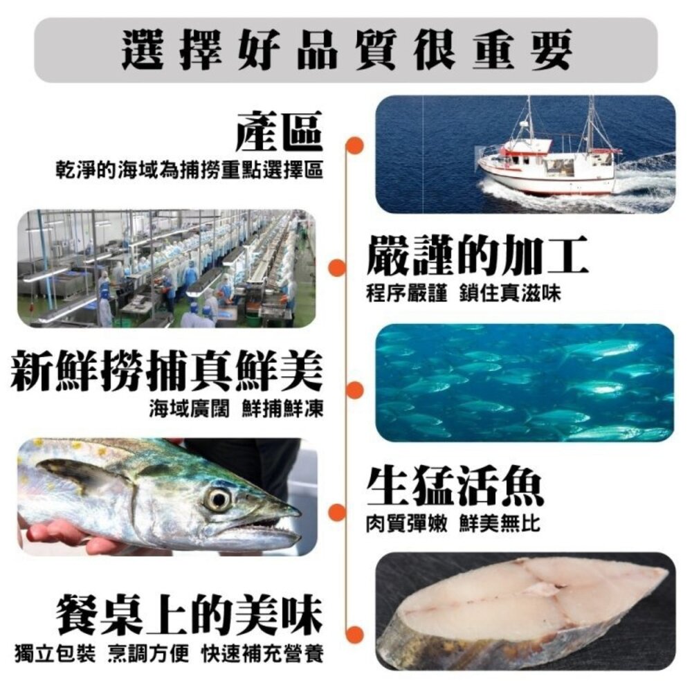 鮮凍XL土魠魚切片(每片300g±10%)【天天鮮配】滿額免運 厚切魚排/營養美味/家庭料理必備-圖片-2