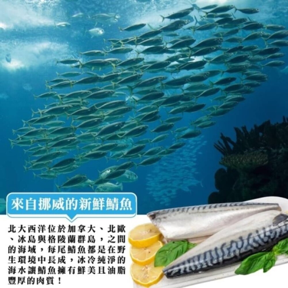 挪威薄鹽鯖魚+無刺虱目魚肚 12片超值組【天天鮮配】每日雙魚組|家庭料理必備-圖片-2